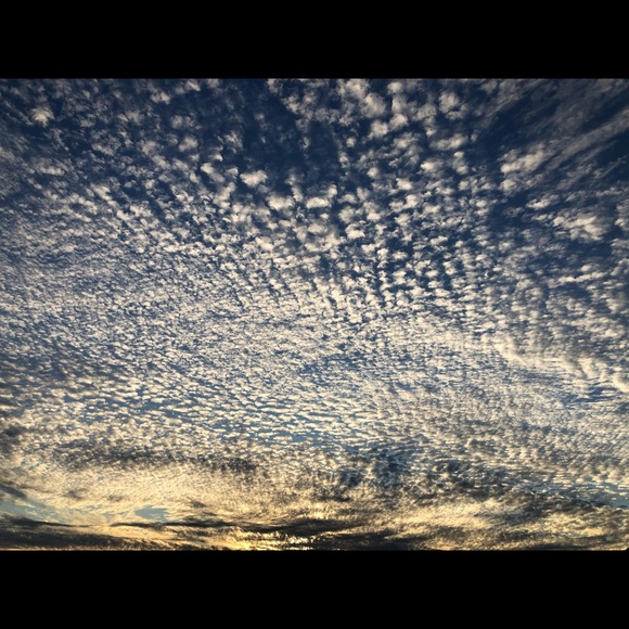 Meet your Posher, Sarah - Picture 7 of 15